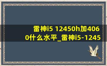 雷神i5 12450h加4060什么水平_雷神i5-12450h相当于什么水平